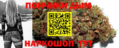 индика Можайск