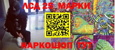 индика Можайск