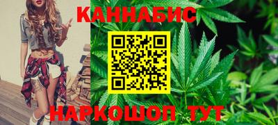 индика Можайск