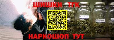индика Можайск