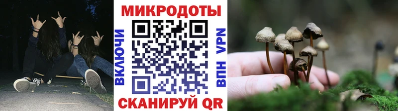 Галлюциногенные грибы мухоморы  Славгород 