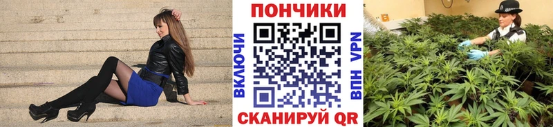Канабис семена OMG как зайти Славгород